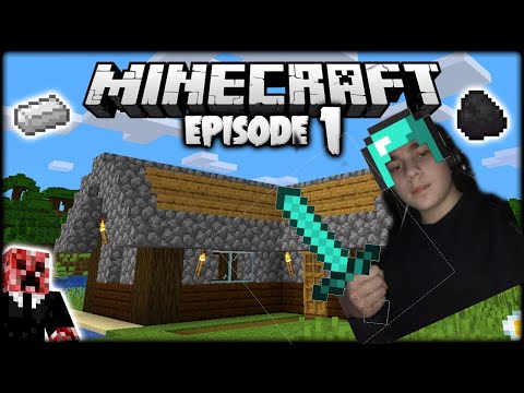 Minecraft-მე და ნიკამ სახლი ავაშენეთ #2